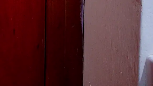 anisha x online show from 10-25-25, 07:14