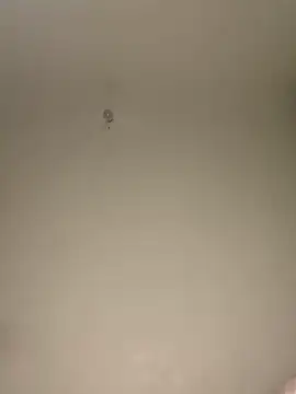 NatyOlson online show from 11-08-25, 04:38