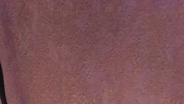 pink lia2 online show from 12-17-24, 12:11