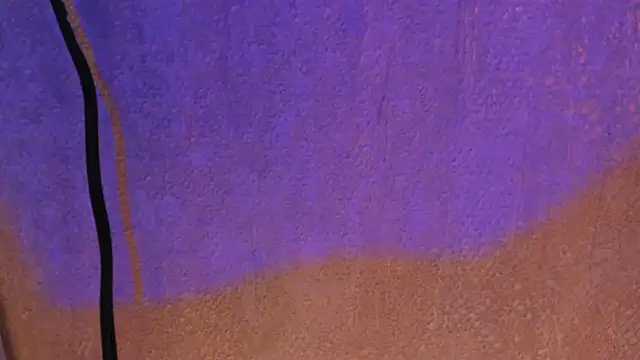 pink lia2 online show from 12-13-24, 11:55