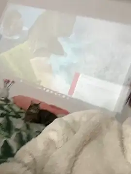 AnnyCherry  online show from 03-06-26, 12:38