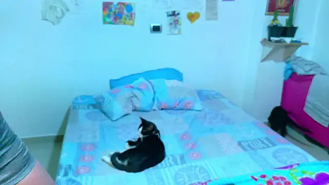 clydexxxbunny online show from 01-05-25, 07:49