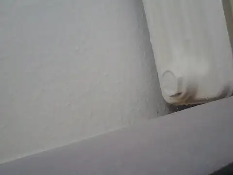 Snapshot of lickthehottie chatting on 07-14-26, 05:01 lickthehottie online show from 07-14-26, 05:01