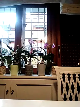 Snapshot of Frabox65 chatting on 03-27-26, 06:00 Frabox65 online show from 03-27-26, 06:00