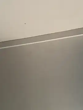 calleaaaa online show from 10-24-25, 09:19