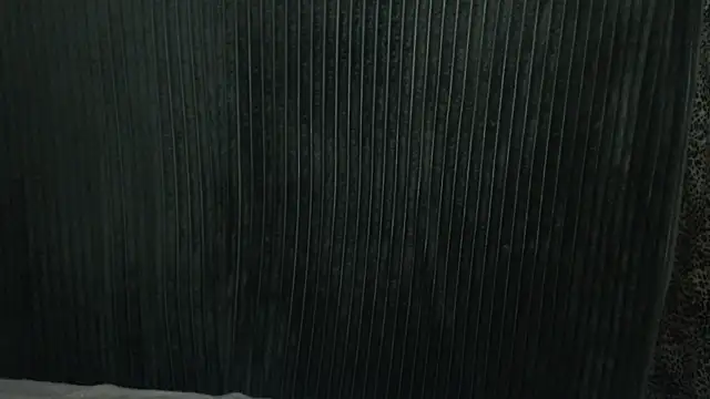 1BECHA1 online show from 12-03-25, 07:41