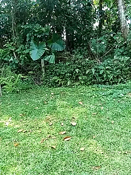 ruki anglelk online show from 02-09-25, 06:01