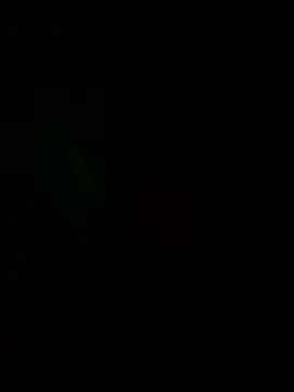 josle24 online show from 12-08-24, 03:35