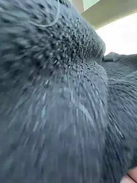 Giuliana baby online show from 03-21-26, 09:36