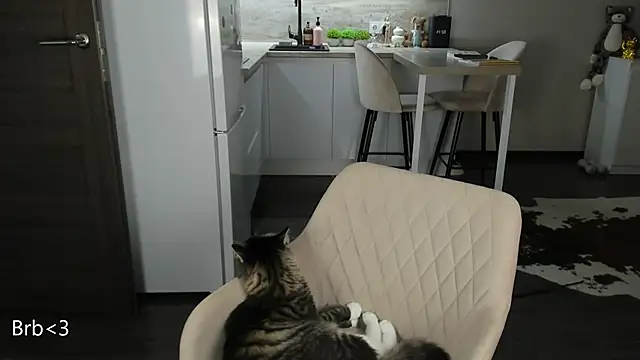 nilliluv online show from 03-19-26, 11:16