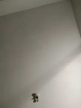 Bigchorizo559 online show from 04-14-26, 07:24