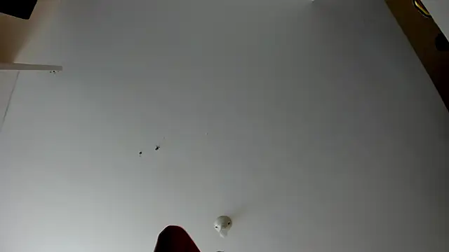 evely coelloo online show from 11-05-25, 04:10