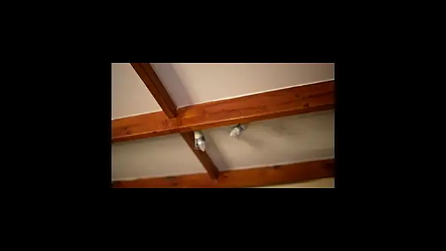 Bellis Perenis online show from 02-26-26, 09:31