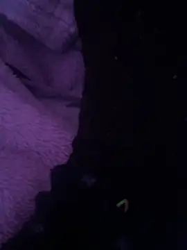 ahmedtop308 online show from 03-05-26, 03:52