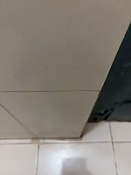 nangakings online show from 12-17-25, 03:17