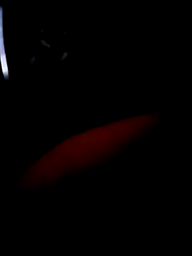 pascalino100 online show from 04-04-26, 12:01