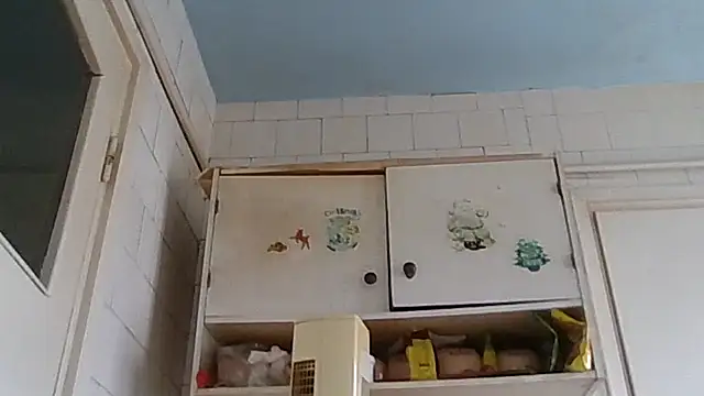 mariusica1xh online show from 02-19-26, 01:52