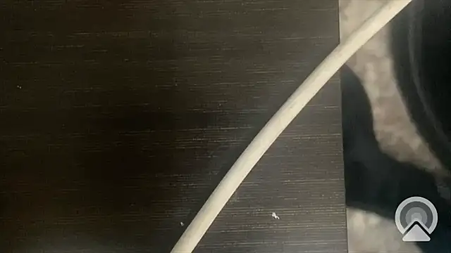 Snapshot of shuai321 chatting on 02-13-25, 07:56 shuai321 online show from 02-13-25, 07:56