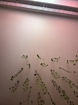 -Sexy Barbie- online show from 03-11-25, 02:42