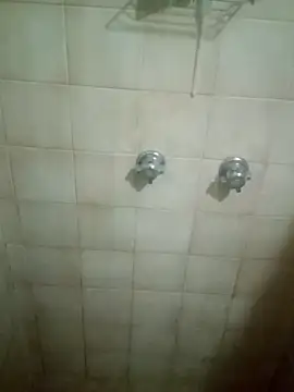 Professor Leo  online show from 02-11-26, 12:49