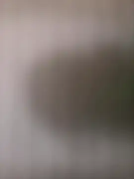 mrwright878787 online show from 10-04-25, 01:45