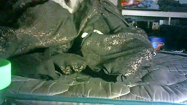 Snapshot of DI4MOND_FIR3 chatting on 06-11-26, 02:53 DI4MOND FIR3 online show from 06-11-26, 02:53