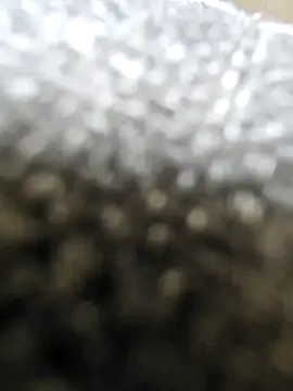 Moonbadboyss online show from 10-09-25, 08:04