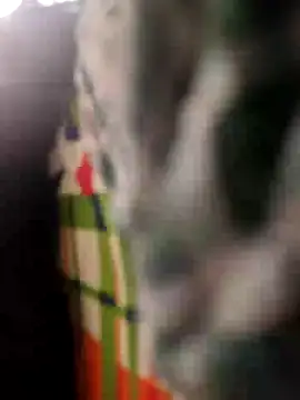 Priya-bhabi012 online show from 04-25-26, 02:03