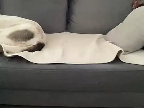 4small4inchlol online show from 09-24-25, 07:26