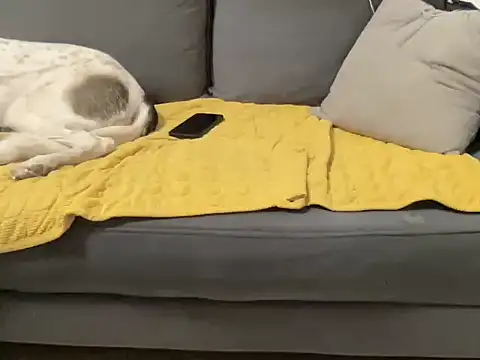 4small4inchlol online show from 10-29-25, 04:39