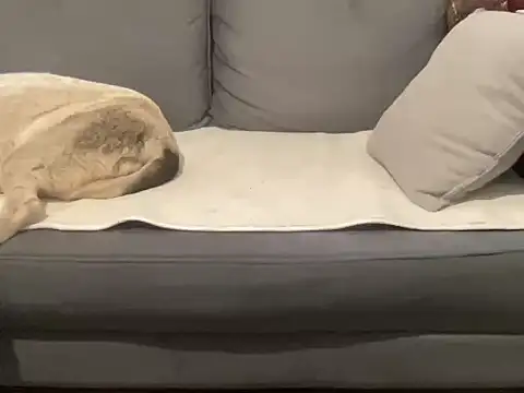 4small4inchlol online show from 09-17-25, 09:00