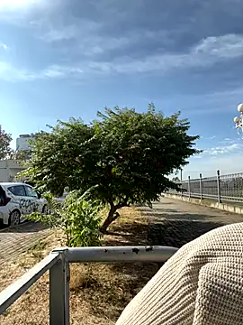 SandraCarter online show from 09-18-25, 06:05