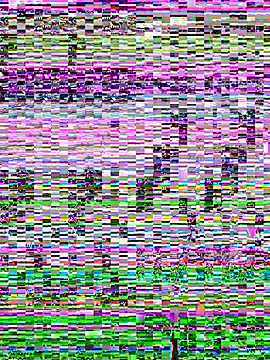 Snapshot of SandraCarter chatting on 06-07-26, 07:13 SandraCarter online show from 06-07-26, 07:13