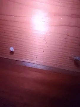 brbrrbrbrb online show from 02-24-26, 02:51