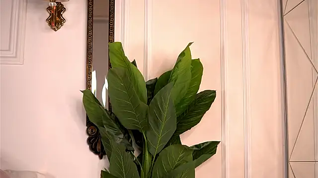 AvaShayy online show from 03-04-26, 08:38