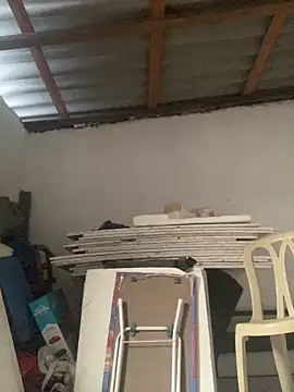 Charlotte Bradshaw online show from 03-18-26, 03:13