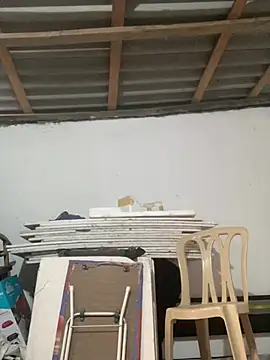 Charlotte Bradshaw online show from 03-16-26, 09:39