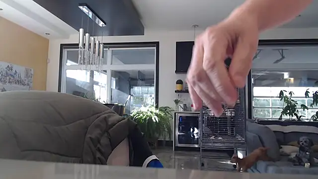 Toy-Daddy online show from 11-06-25, 06:45