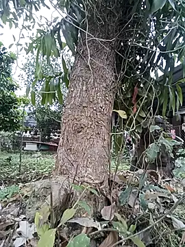 Fuckmehard2xx online show from 03-09-25, 09:35