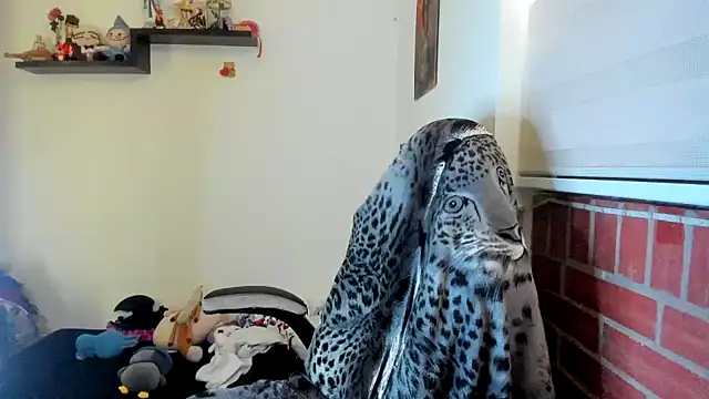 Shaddycute  online show from 05-19-26, 02:02