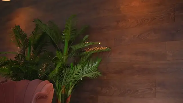 KairaAndrews online show from 02-12-26, 07:57