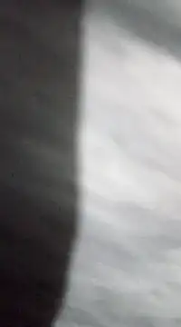 Snapshot of jaxyboys chatting on 01-15-25, 04:11 jaxyboys online show from 01-15-25, 04:11