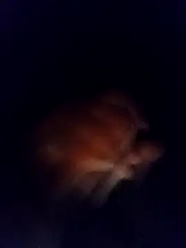 Snapshot of jaxyboys chatting on 02-03-25, 04:46 jaxyboys online show from 02-03-25, 04:46