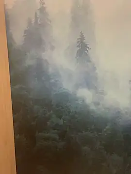 ladoucedu34 online show from 02-11-26, 03:34