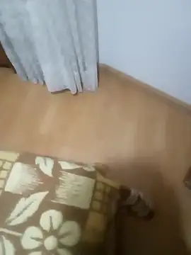 rush6983 online show from 11-06-25, 01:31