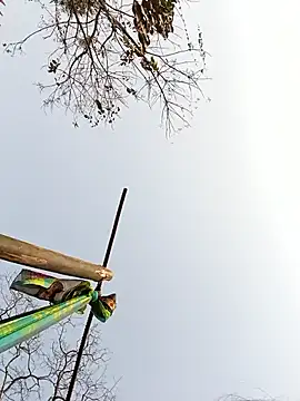 Snapshot of Queen_suman chatting on 02-23-26, 08:59 Queen suman online show from 02-23-26, 08:59