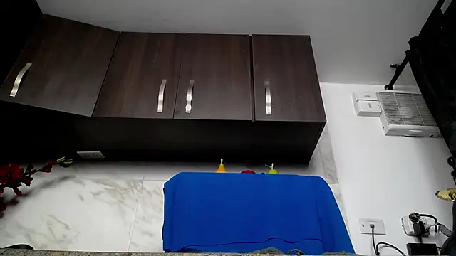 iniyalaboni online show from 12-04-25, 08:30