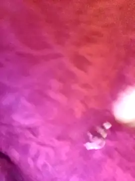 JAWHARA  online show from 11-12-25, 11:30