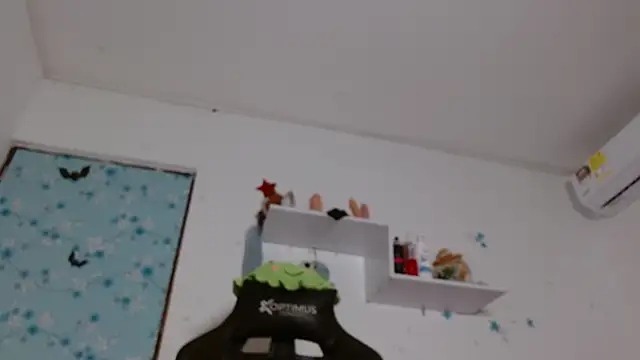 miss valery2 online show from 11-11-25, 01:11