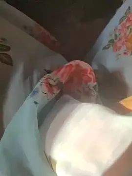 Snapshot of iaparna chatting on 12-02-24, 04:05 iaparna online show from 12-02-24, 04:05